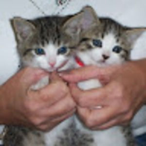 Meet your Posher, Mindy